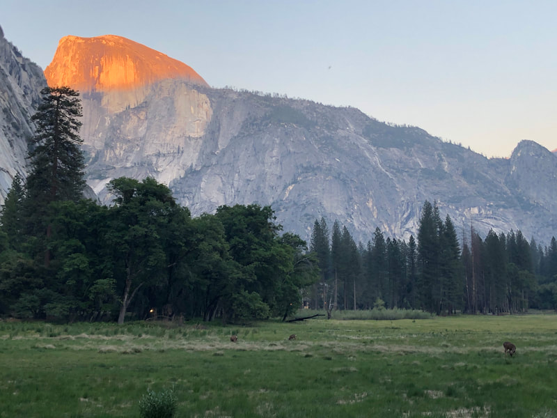 Yosemite - Half Dome at Sunset